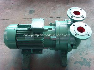 2BV5 110 Liquid Ring Vacuum Pump